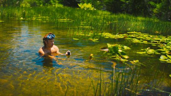 The Python Hunt (2026) Image