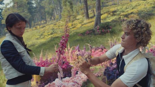 The Hunger Games: Sunrise on the Reaping (2026) Image
