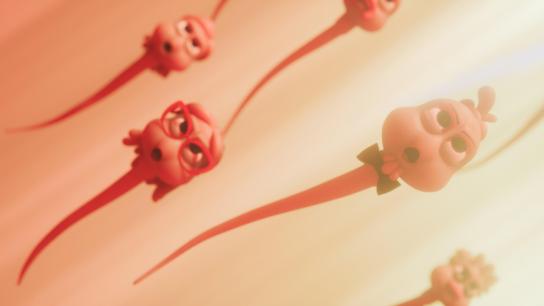 Spermageddon (2025) Image
