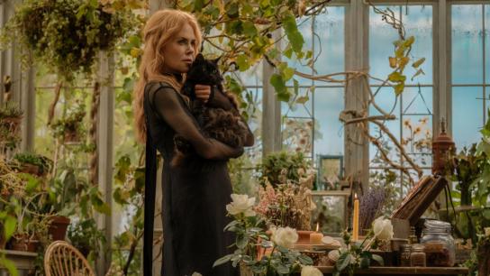 Practical Magic 2 (2026) Image