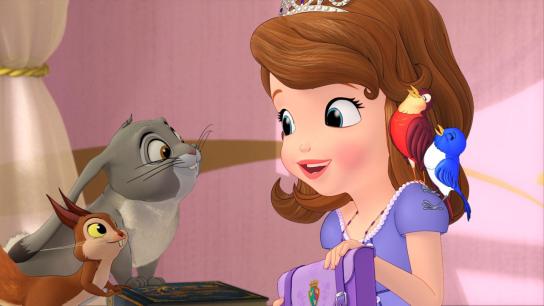 Sofia the First: Once Upon a Princess (2012) Image