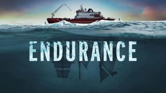 Endurance (2024) Image