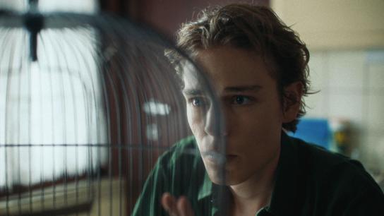 The Catcher (2026) Image