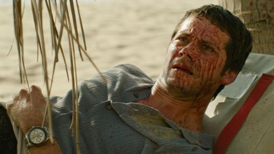 Send Help (2026) Image