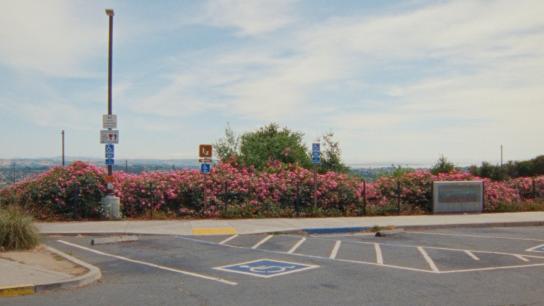 Zodiac Killer Project (2025) Image