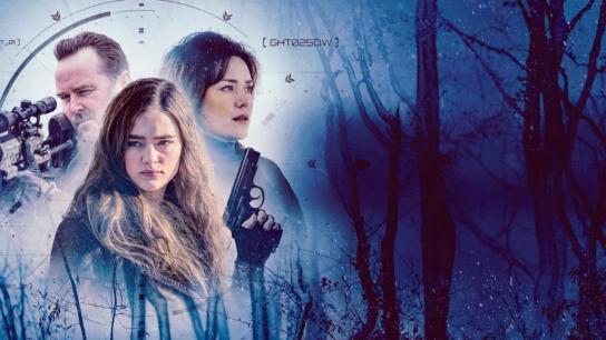 The Internship (2026) Image