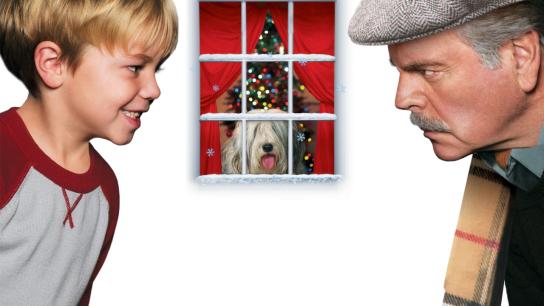 A Dennis the Menace Christmas (2007) Image