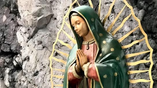 Lady of Guadalupe (2020) Image