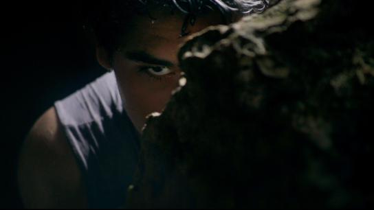 The Water's Whisper (2020) Image