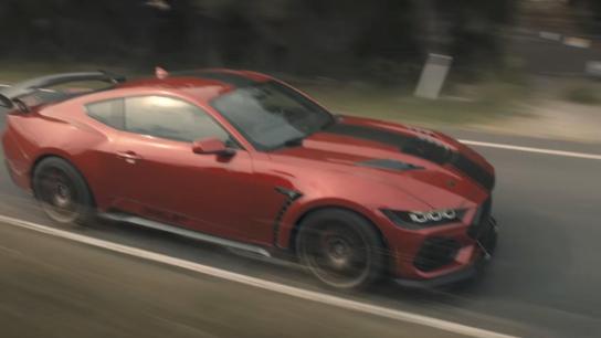 The Mongoose (2026) Image