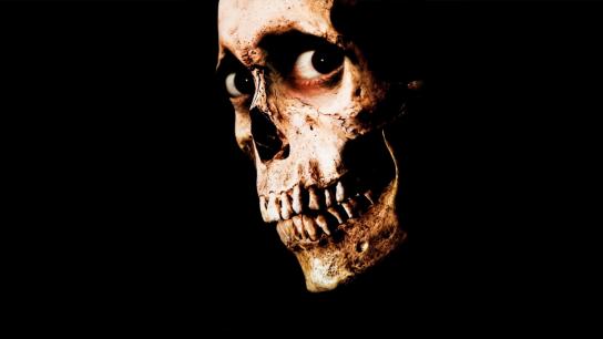 Evil Dead II (1987) Image