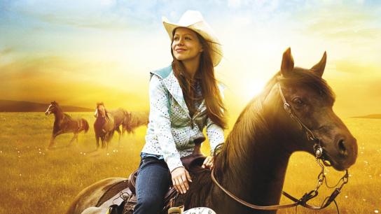 Flicka 2 (2010) Image