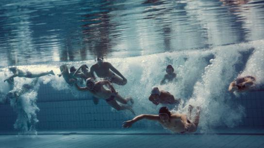 The Plague (2025) Image