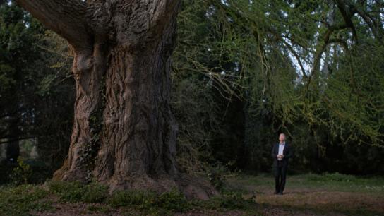 Silent Friend (2026) Image