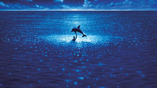 The Big Blue (1988) Image