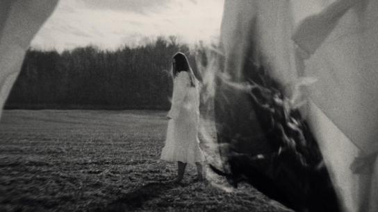 A Song For William Bird (2023) Image