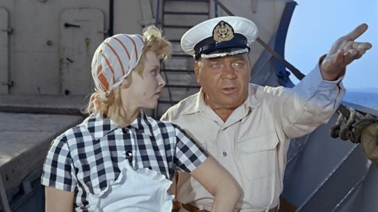 Striped Trip (1961) Image