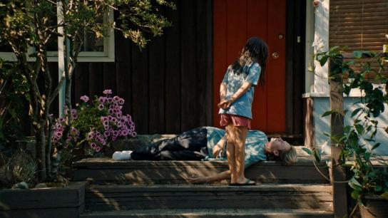 Blue Heron (2026) Image