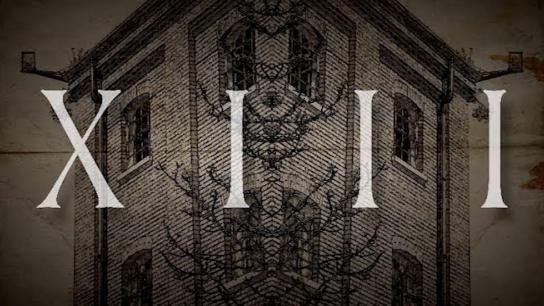 XIII (2019) Image