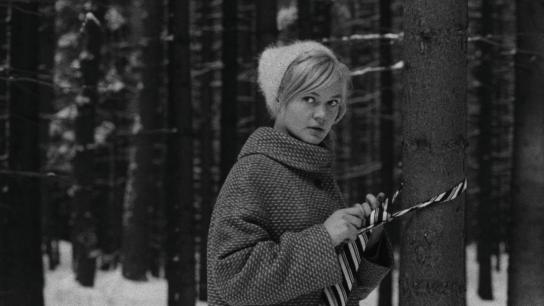 Loves of a Blonde (1965) Image