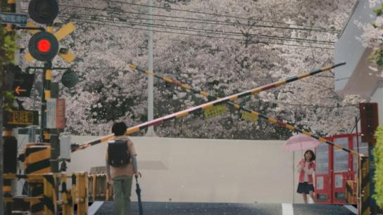 5 Centimeters per Second (2025) Image