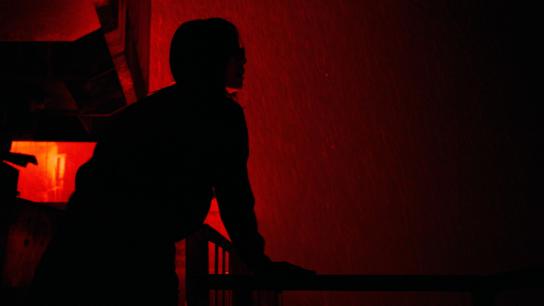 Resurrection (2025) Image