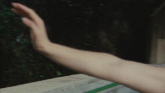Zi (2026) Image