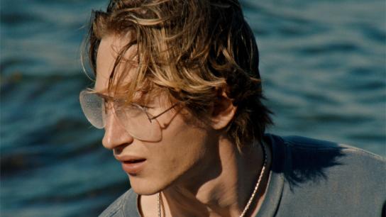 Blue Heron (2026) Image