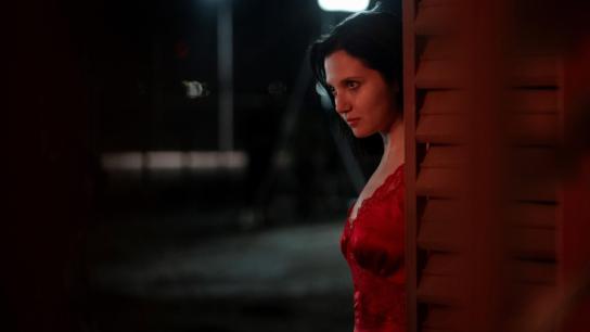 The Fence (2026) Image