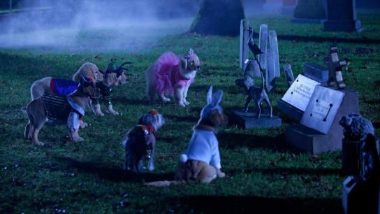 Spooky Buddies (2011) Image