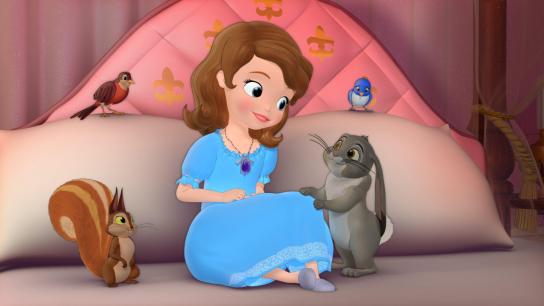 Sofia the First: Once Upon a Princess (2012) Image