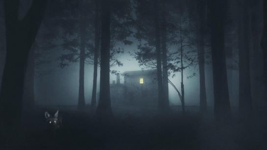 Shelby Oaks (2025) Image