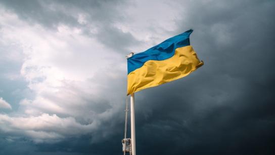 Despair and Defiance: The Battle for Ukraine (2022) Image