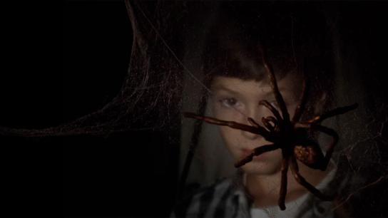 The Spider Labyrinth (1988) Image