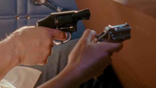 Zodiac Killer Project (2025) Image