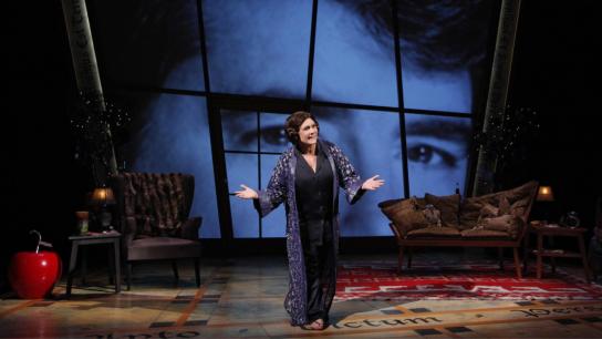 Carrie Fisher: Wishful Drinking (2010) Image