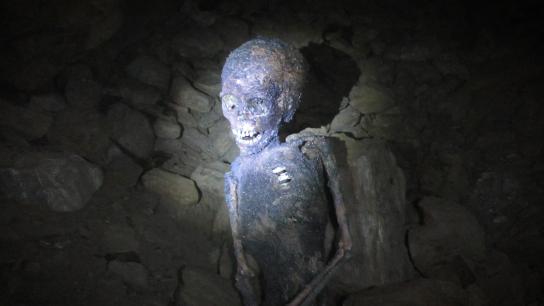 The Wilderness Tapes: Volume One (2026) Image