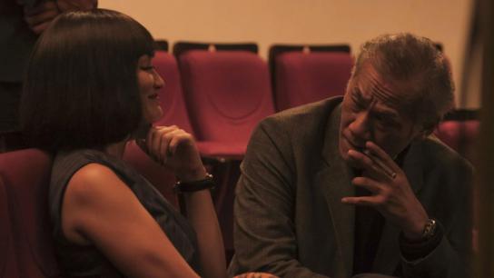 Stealing Raden Saleh (2022) Image