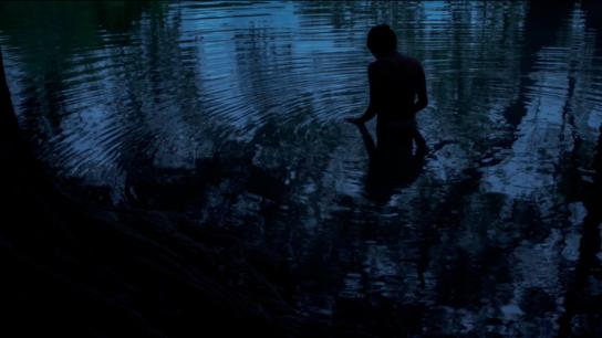 The Water's Whisper (2020) Image