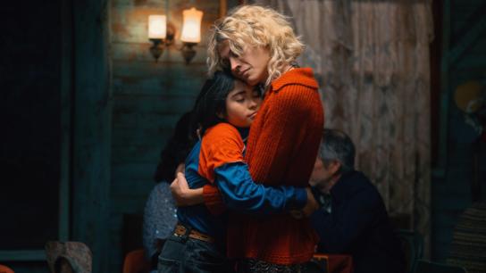 The Mysterious Gaze of the Flamingo (2025) Image