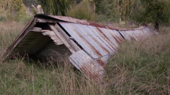 Saving Grace - Te Whakarauora Tangata (2011) Image