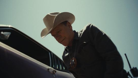 Stone Cold Fox (2025) Image