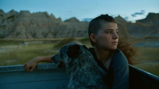 East of Wall (2025) Image
