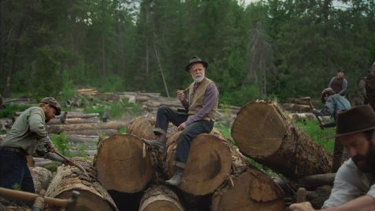 Train Dreams (2025) Image