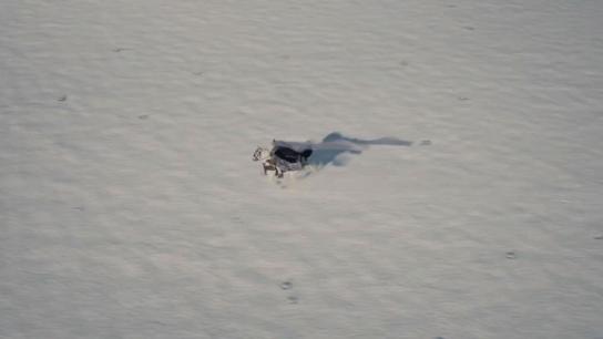 Dracula (2025) Image