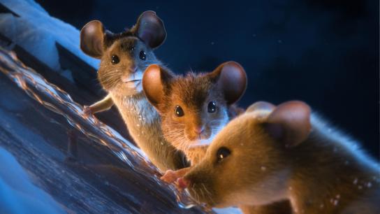 A Mouse Hunt for Christmas (2025) Image