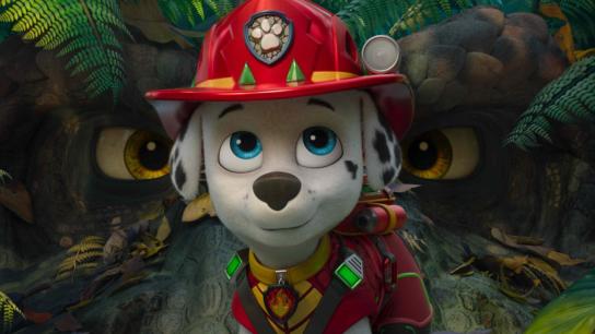 PAW Patrol: The Dino Movie (2026) Image