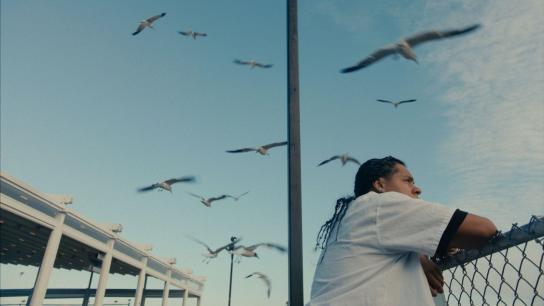 Mad Bills to Pay (or Destiny, dile que no soy malo) (2026) Image