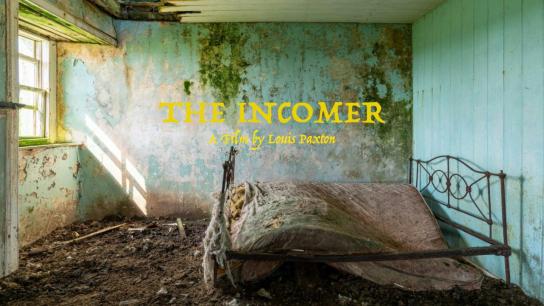 The Incomer (2026) Image