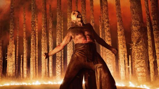 28 Years Later: The Bone Temple (2026) Image